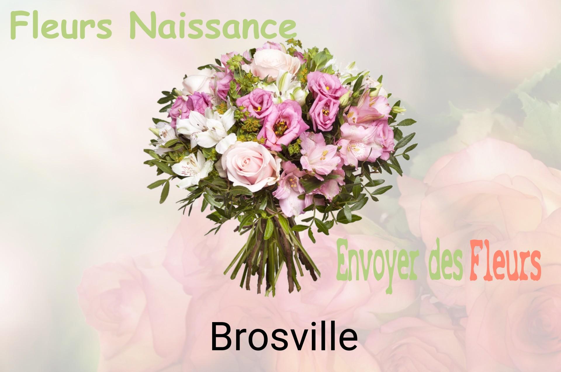 Bouquet de fleurs de naissance livré à Brosville